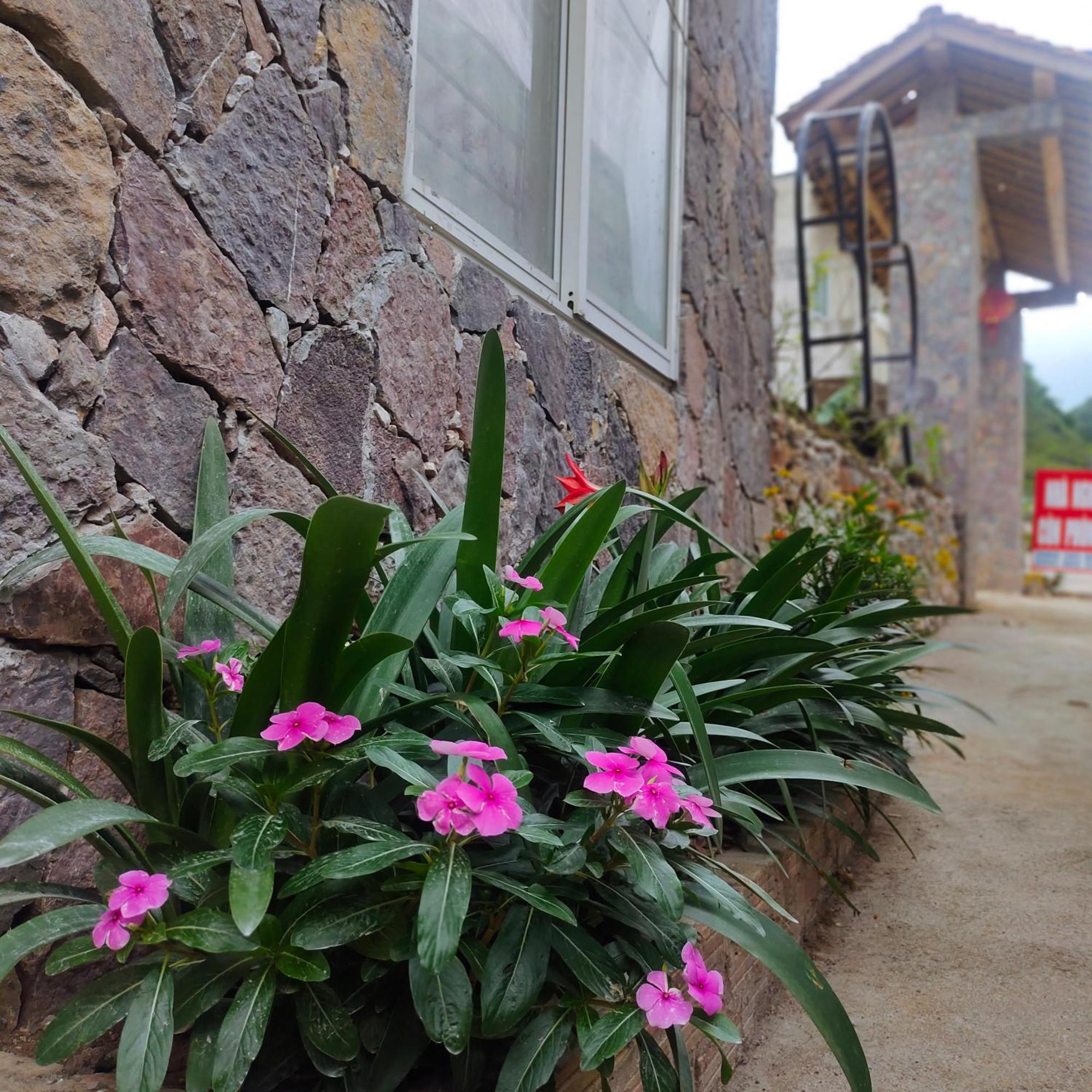 Meovac Stone Palace Homestay *
